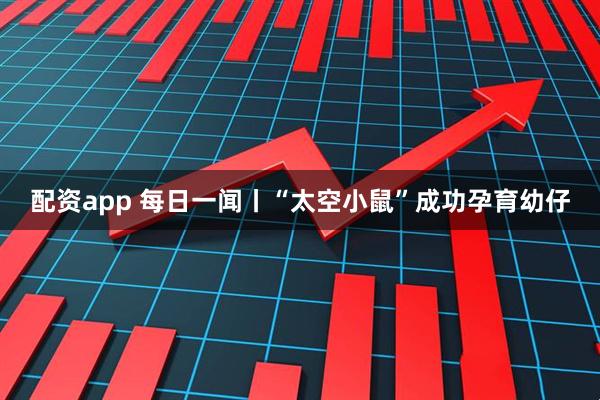 配资app 每日一闻丨“太空小鼠”成功孕育幼仔