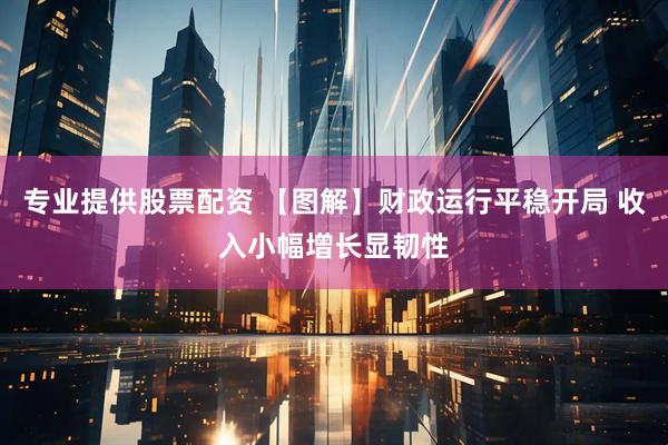 专业提供股票配资 【图解】财政运行平稳开局 收入小幅增长显韧性